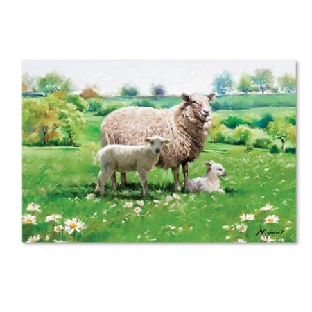 Trademark Fine Art The Macneil Studio 'Sheep And Lamb' Canvas Art, 30x47 ALI8693-C3047GG